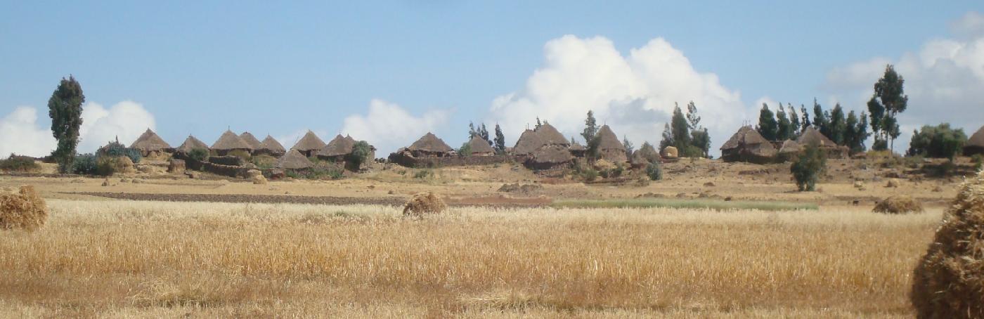 DSC036400.jpg - Village de tukuls au nord dAddis Abeba