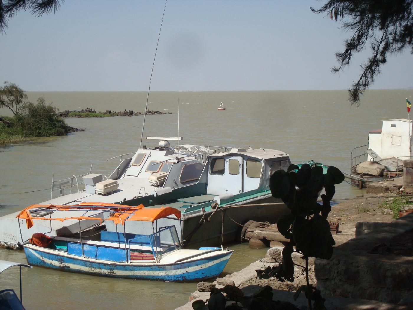 DSC033880.jpg - Embarcations sur le Lac Tana  Bahar Dar, nom qui signifie bord de mer