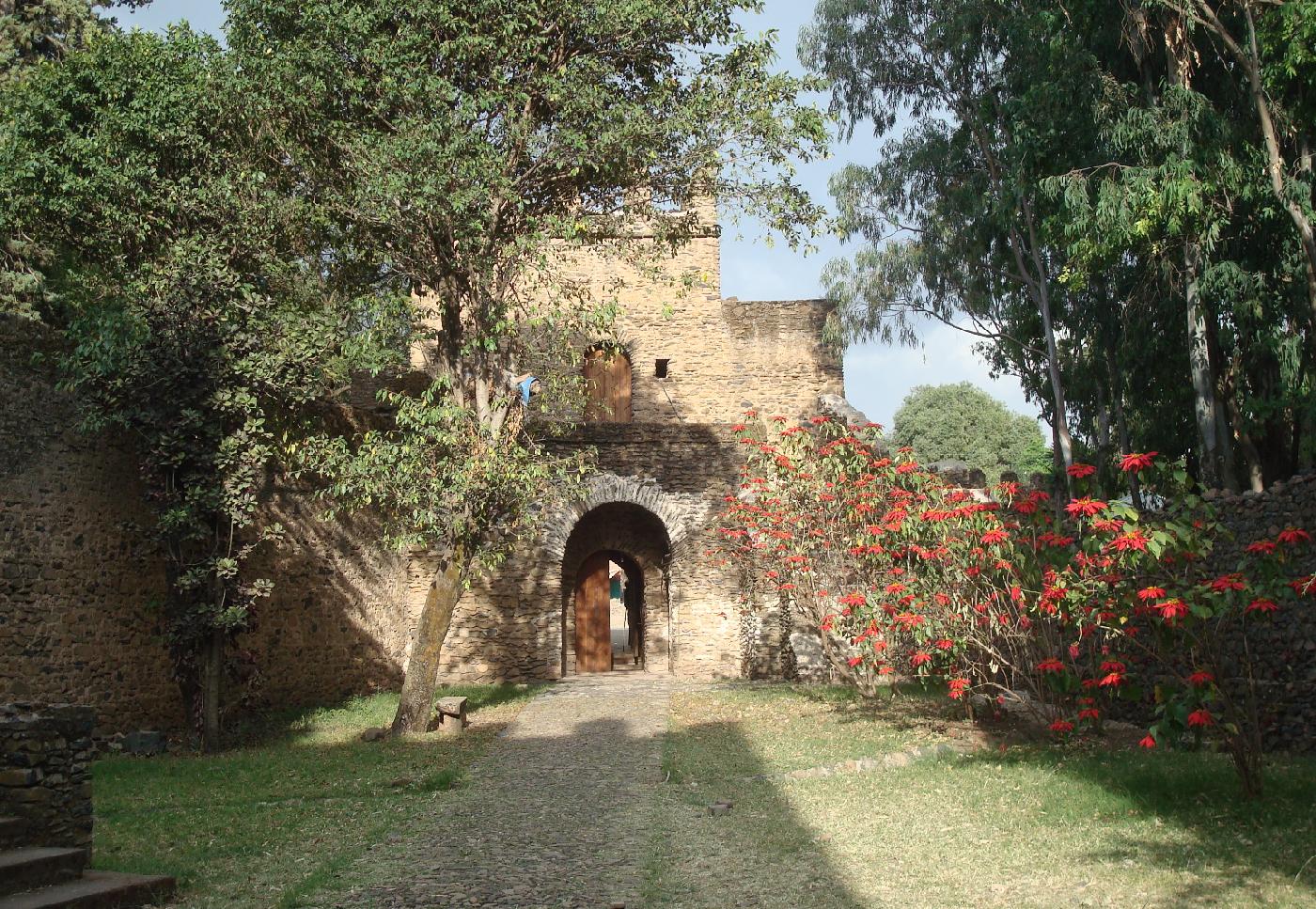 DSC033590.jpg - Alle fleurie de Poinsettia et porte de la Cit impriale de Gondar