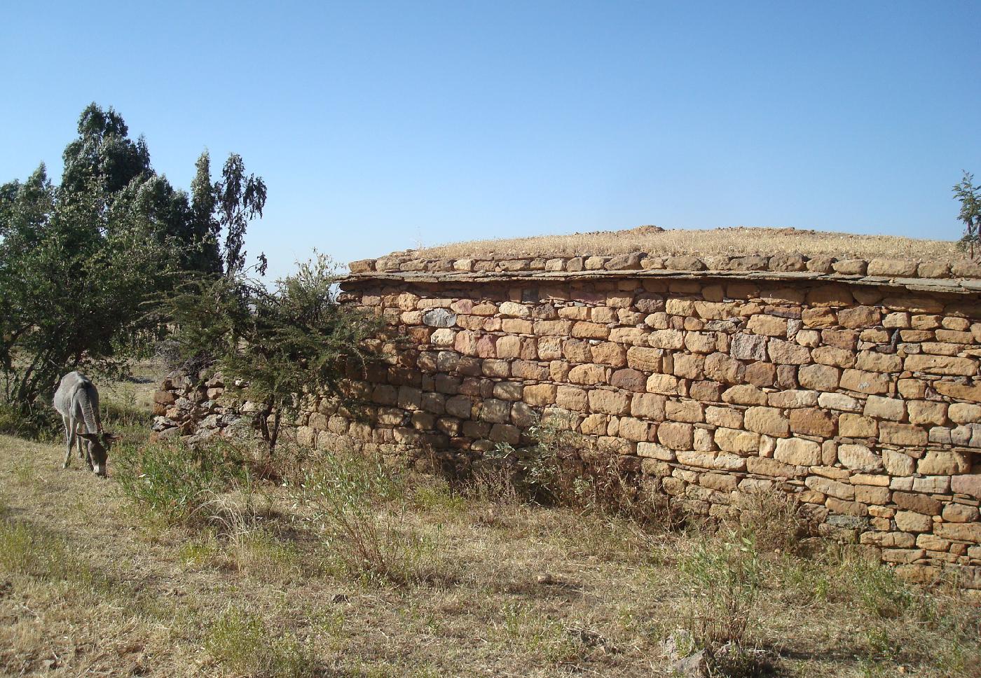 DSC030380.jpg - Maison rurale en pierre recouverte de terre