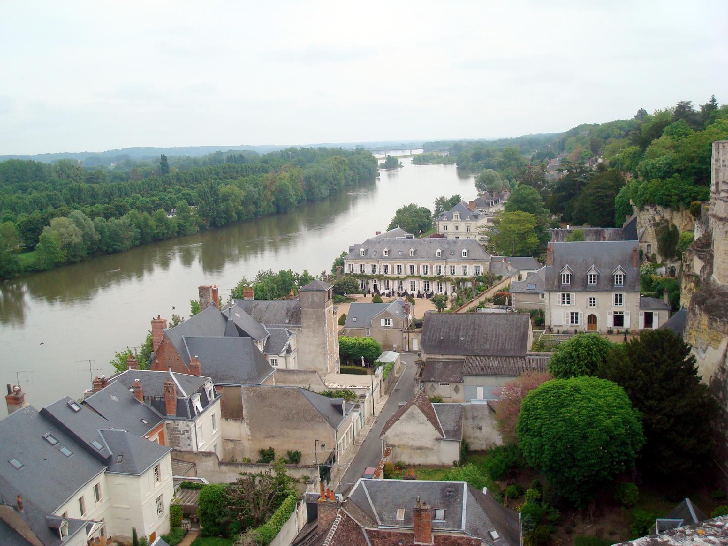 dsc020160.jpg - Vue sur la Loire depuis la Tour des Minimes